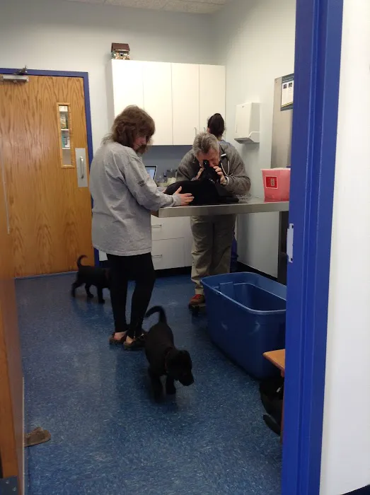 Skylands Primary Pet Care Picture 6