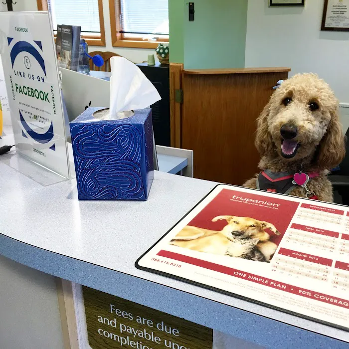 Skylands Primary Pet Care Picture 7