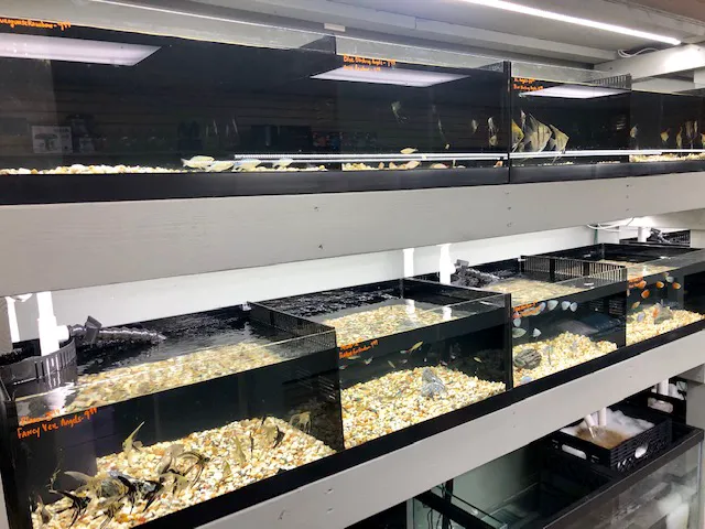Strictly Fish & Corals Picture 1