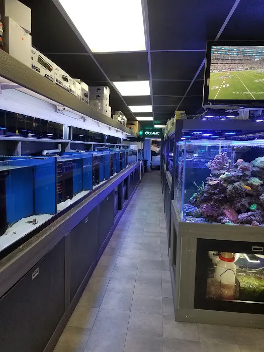 Strictly Fish & Corals Picture 3