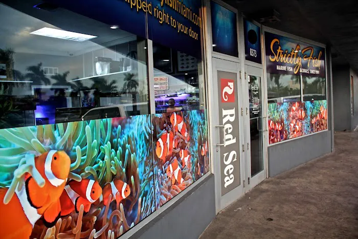 Strictly Fish & Corals Picture 2