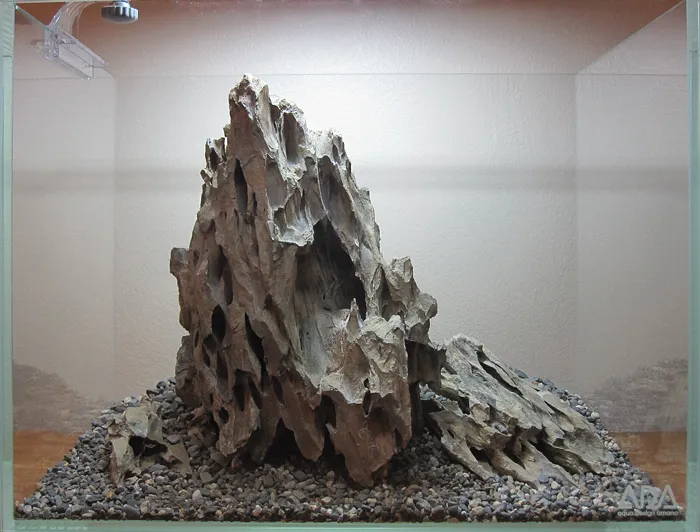 Strictly Fish & Corals Picture 5