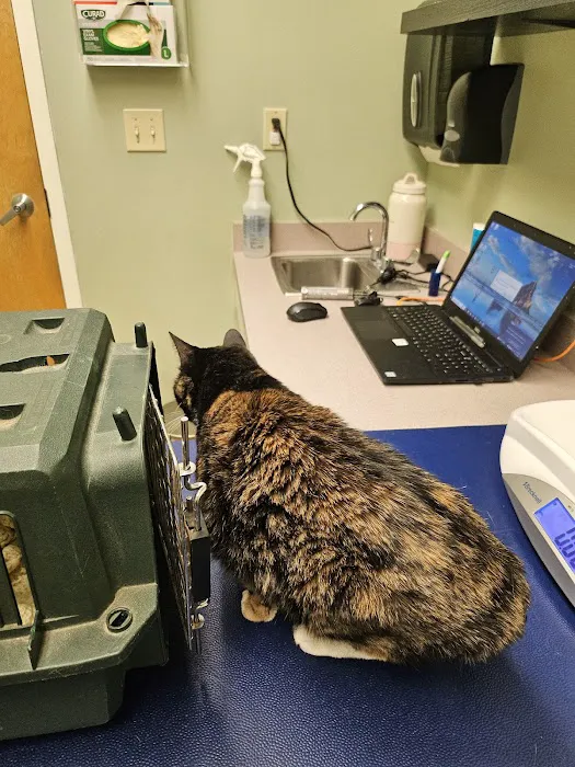 Ani-Mall Pet Hospital Picture 6