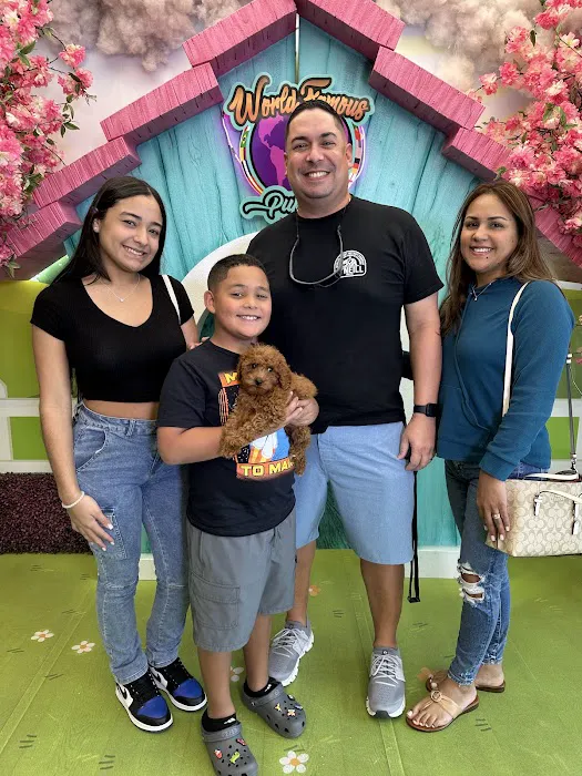 World Famous Puppies Miami Picture 6
