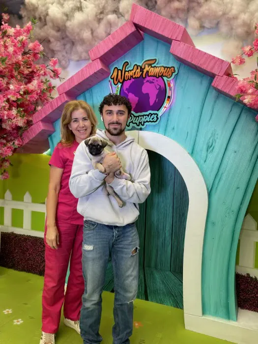 World Famous Puppies Miami Picture 10