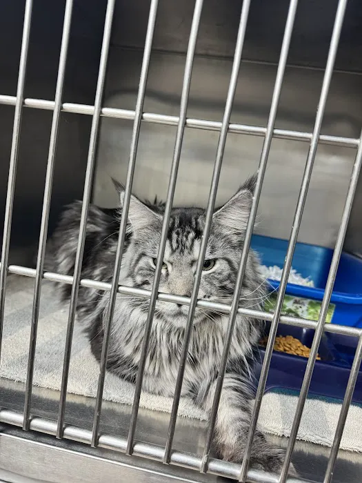 Quality Pet Care, LLC Picture 2
