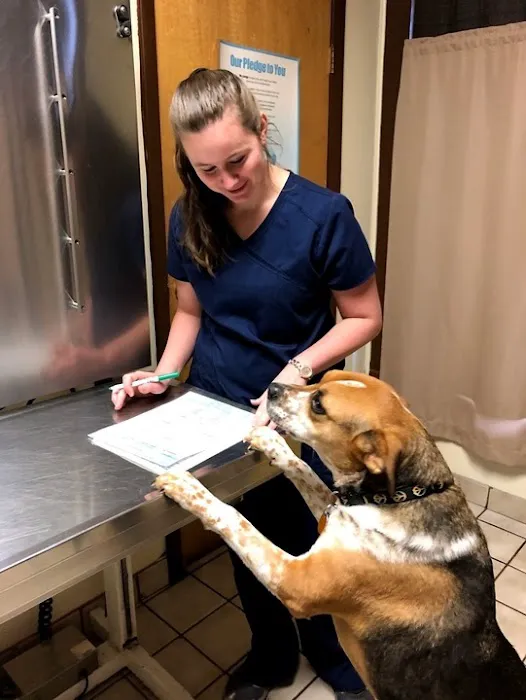 Quality Pet Care, LLC Picture 5