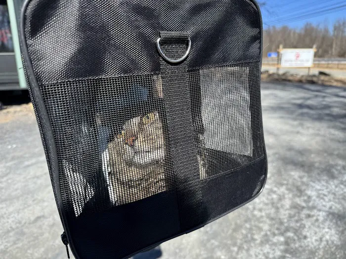 Quality Pet Care, LLC Picture 6