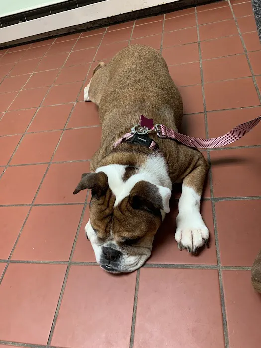 Quality Pet Care, LLC Picture 7