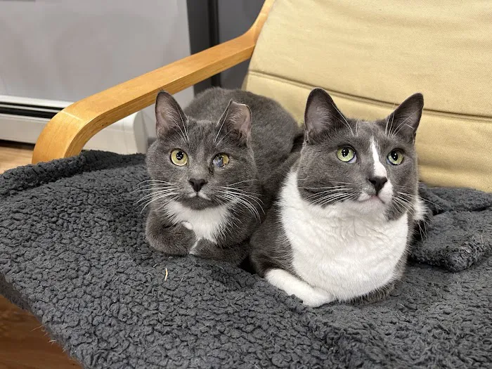 Quality Pet Care, LLC Picture 10