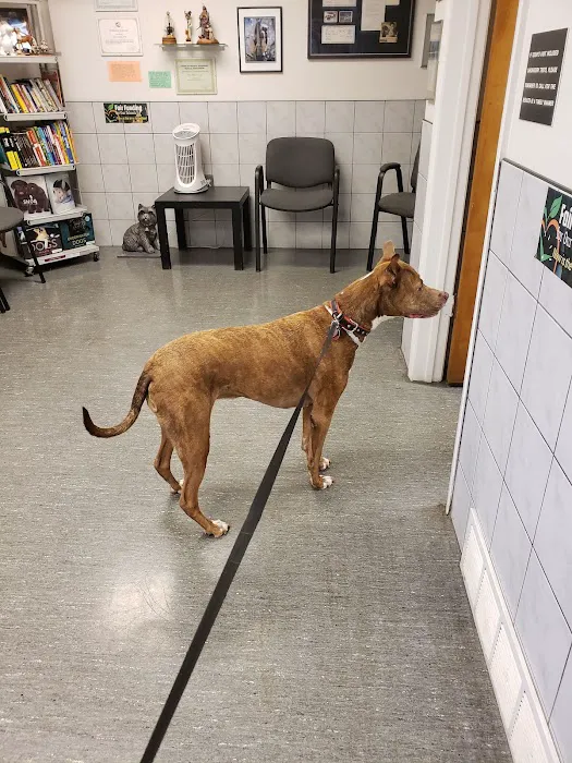Animal Health Center Picture 6