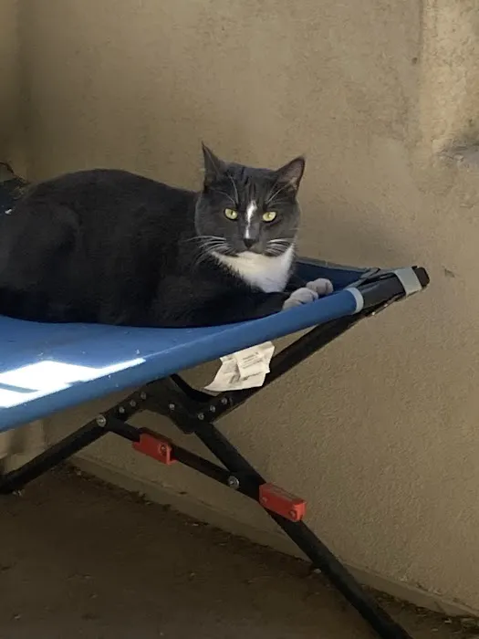 Animal Health Center Picture 7