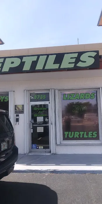 Reptiles Picture 1