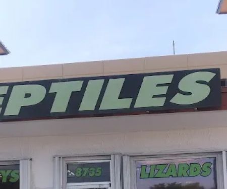 Reptiles