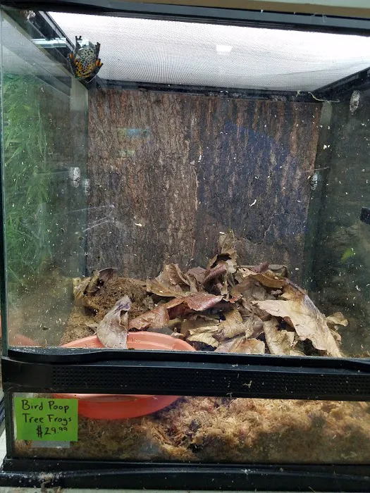 Snakes at Sunset Picture 6