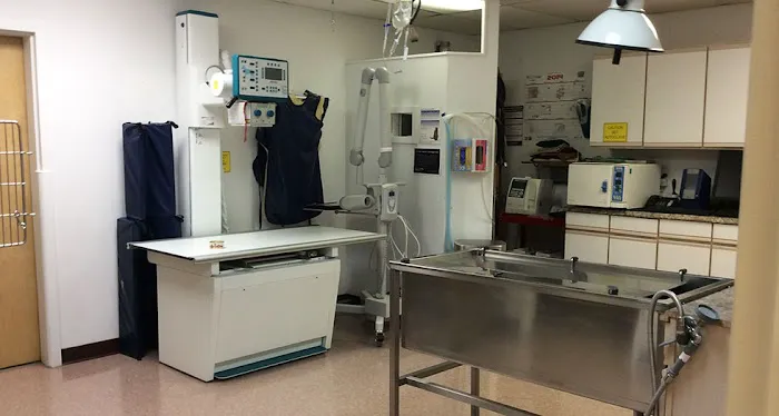 Animal Clinic Of Tower Drive Picture 4