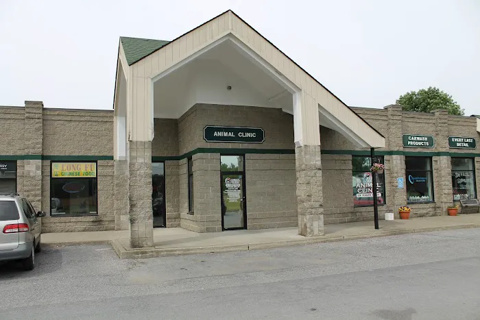 Animal Clinic Of Tower Drive Picture 5