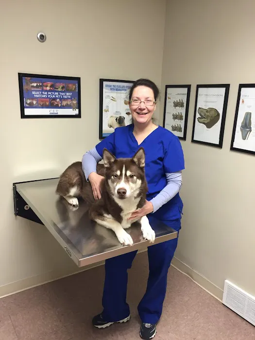 Animal Clinic Of Tower Drive Picture 8