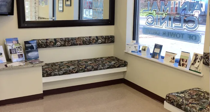 Animal Clinic Of Tower Drive Picture 9