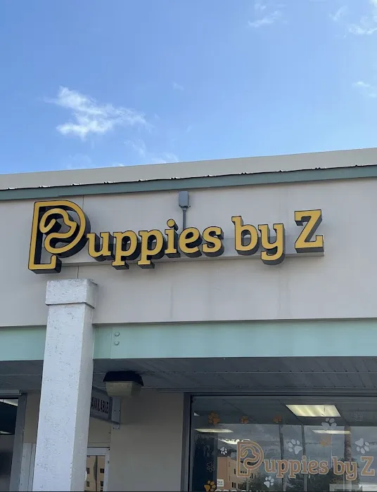 Puppies by Z. Picture 1