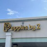 Puppies by Z.