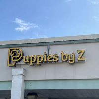 Puppies by Z. ico
