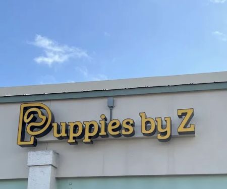 Puppies by Z.