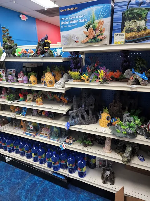 Pet Supermarket Picture 1