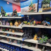 Pet Supermarket ico