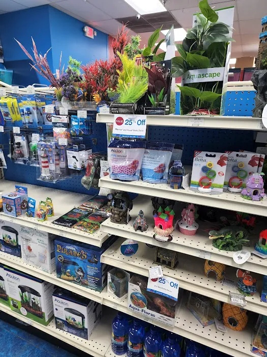 Pet Supermarket Picture 3