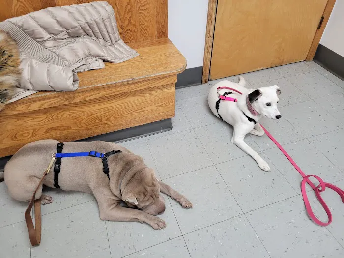Wurtsboro Veterinary Clinic Picture 2