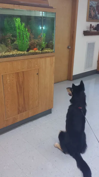 Wurtsboro Veterinary Clinic Picture 6