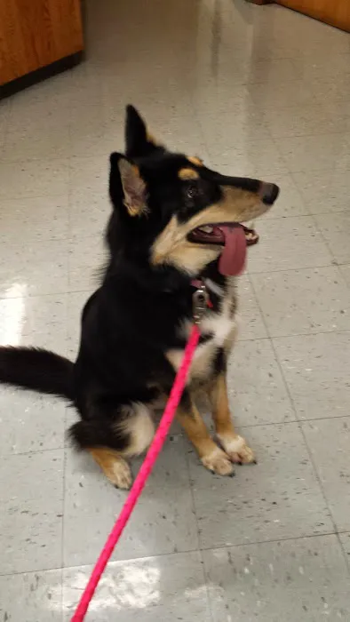 Wurtsboro Veterinary Clinic Picture 7