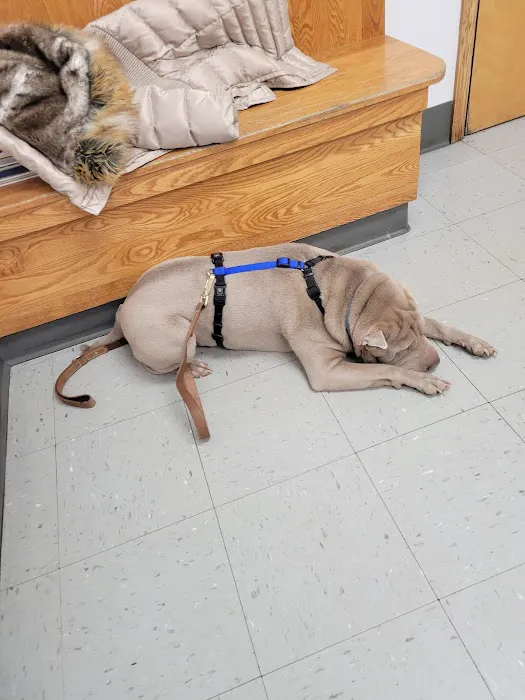 Wurtsboro Veterinary Clinic Picture 8