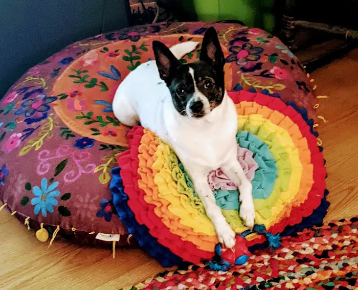 I Love Pets Picture 1