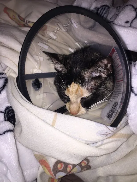 The Animal Rights Alliance Inc. (T.A.R.A.) Picture 3