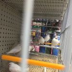 Goshen Animal Hospital