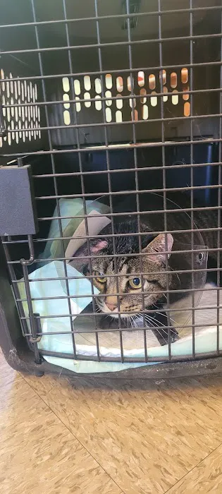 Goshen Animal Hospital Picture 2