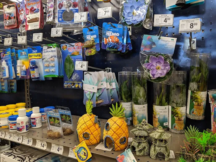 Petco Picture 3