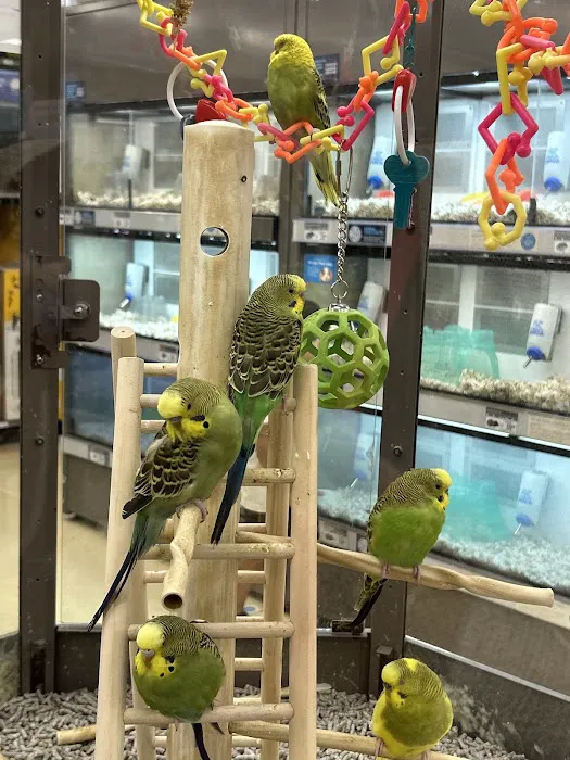 Petco Picture 6
