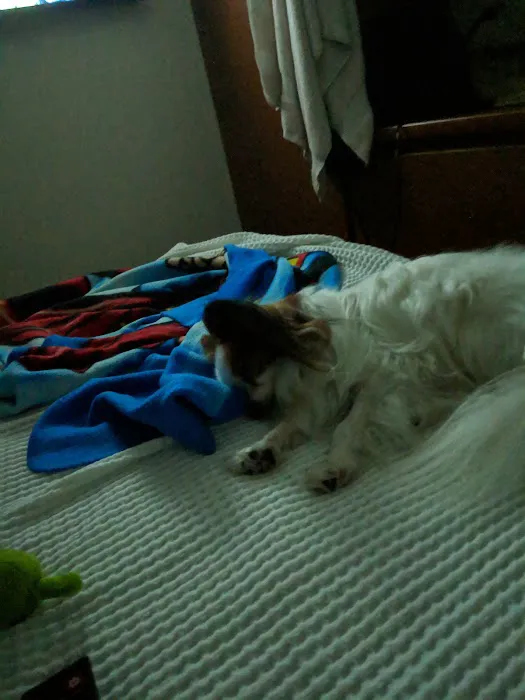 Petco Picture 7