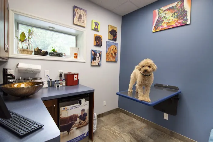 The Pets I Love Veterinary Hospital Picture 6