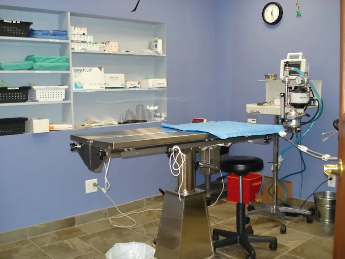 The Pets I Love Veterinary Hospital Picture 8