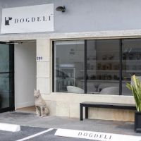 DOGDELI ico