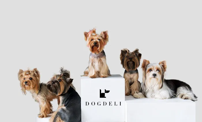DOGDELI Picture 2