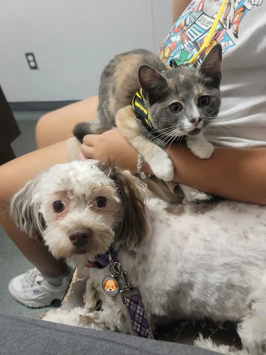 L&G Pet Supply Picture 2