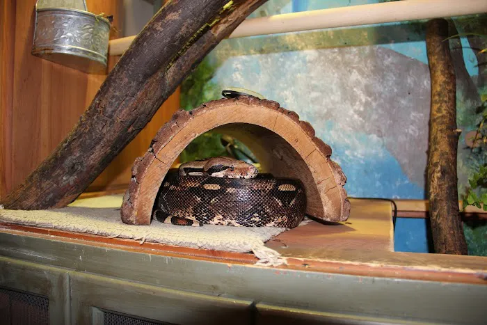 L&G Pet Supply Picture 4