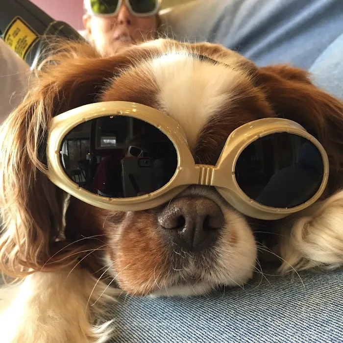 L&G Pet Supply Picture 8