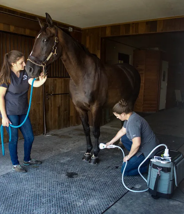 Equilibrium Veterinary Services Picture 8
