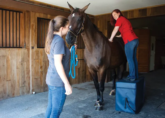 Equilibrium Veterinary Services Picture 9